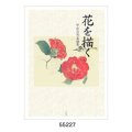 花を描く　堅山南風素描集