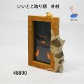 いいとこ取り額  いぬ　朴材