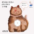 灯りを下さい　  よろこびネコ