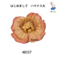 ブローチ　 はじめまして ハマナス大　　ピン付