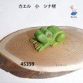 カエル　小