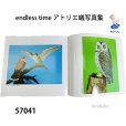 画像3: endless time アトリエ蟻写真集 (3)