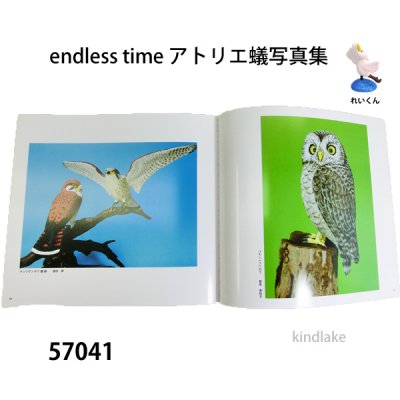 画像3: endless time アトリエ蟻写真集