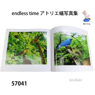 画像2: endless time アトリエ蟻写真集